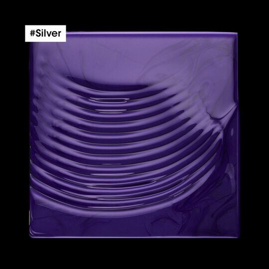 Entgelbendes Shampoo Silver