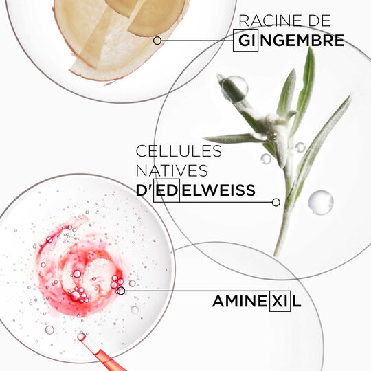 Genesis st&auml;rkendes und pflegendes Shampoo