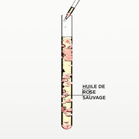 Glaze Drops Gloss Absolu &Ouml;l