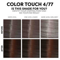 Color Touch Fresh-up-Kit 4/77 Intensives Marron-Kastanienbraun