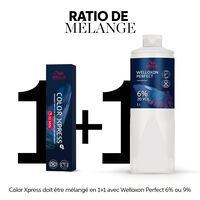 Permanente Haarfarbe Color Xpress 5/1 Hellkastanienbraun Asch