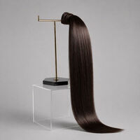 Ponytail Extensions Echthaar 55 cm 2