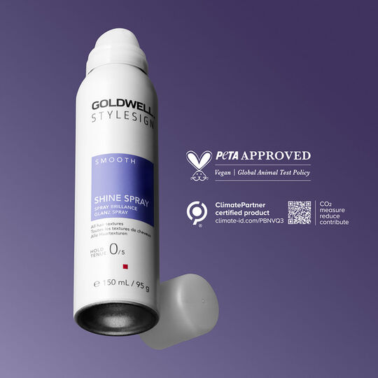 Glanzspray Smooth