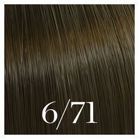 Semipermanente Coloration Color Touch 6/71 Dunkelblond Marron Asch