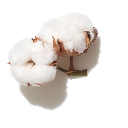 Invigo Volume Boost Volumenshampoo