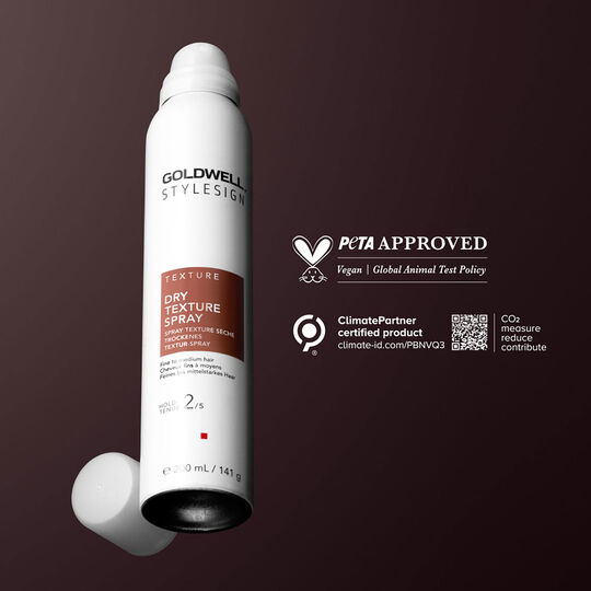 Style Sign Dry Texture Spray