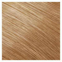 Permanente Coloration Topchic