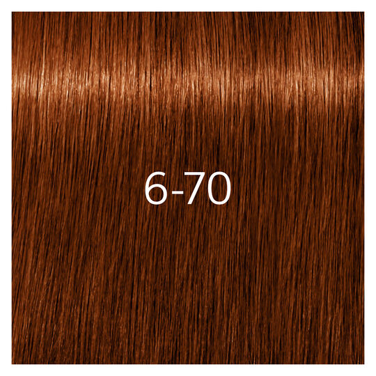 Igora Royal Absolutes 6-70