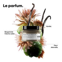 Professionelle Konzentrat-Maske Absolut Repair Molecular