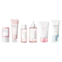 Poremizing Routine &ndash; Poren- & Talgkontrolle