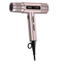 Haartrockner Vanquish