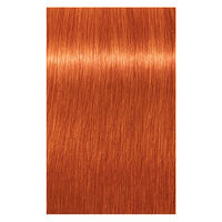 Nuancenreiche Farbt&ouml;ne Mix Igora Royal