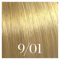 Semipermanente Coloration Color Touch 9/01 Sehrhellblond Natur Asch