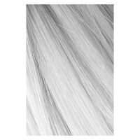 Hair Color Meisterwerk Nr&deg;0.00