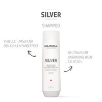 Silber Shampoo