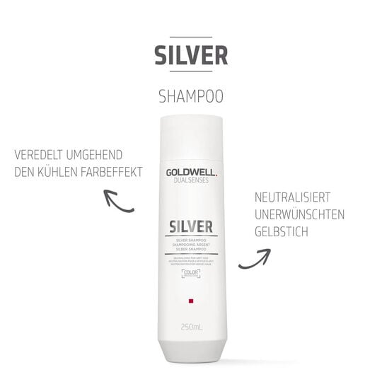Silber Shampoo