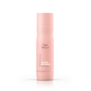Invigo Blonde Recharge Shampoo f&uuml;r k&uuml;hles Blond
