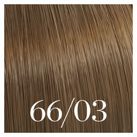 Semipermanente Coloration Color Touch 66/03 Dunkelblond Natur Gold