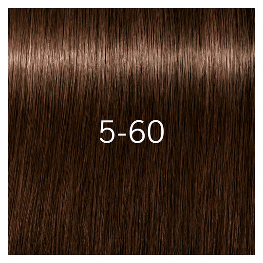 Igora Royal Absolutes 5-60