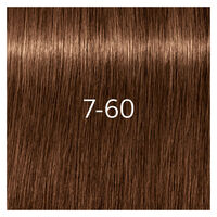 Igora Royal Absolutes 7-60