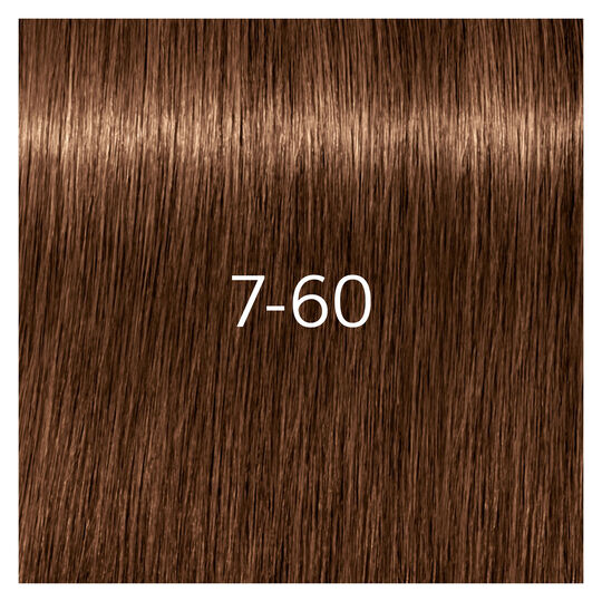 Igora Royal Absolutes 7-60