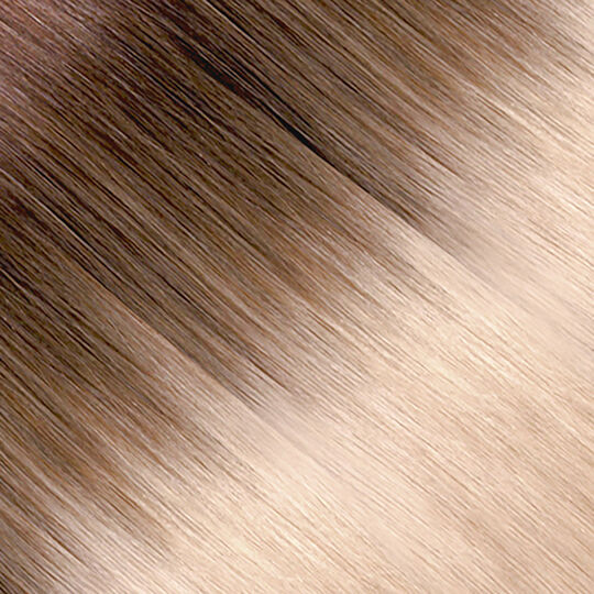Tape In Extensions Ombre Echthaar 55 cm 10/60