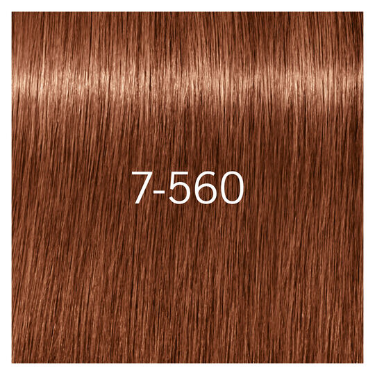 Igora Royal Absolutes 7-560