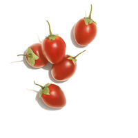 Invigo Nutri-Enrich Wunderbalsam