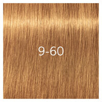 Igora Royal Absolutes 9-60