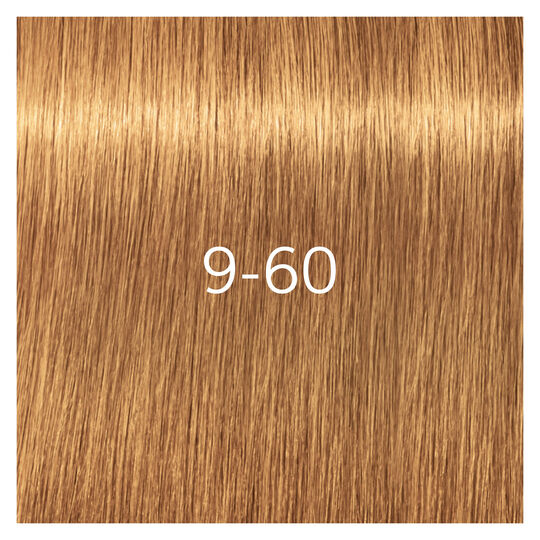 Igora Royal Absolutes 9-60