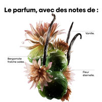 Reparierende Pflegeroutine Absolut Repair Molecular