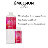 Color Touch Emulsion 1,9 % / 6 Vol.