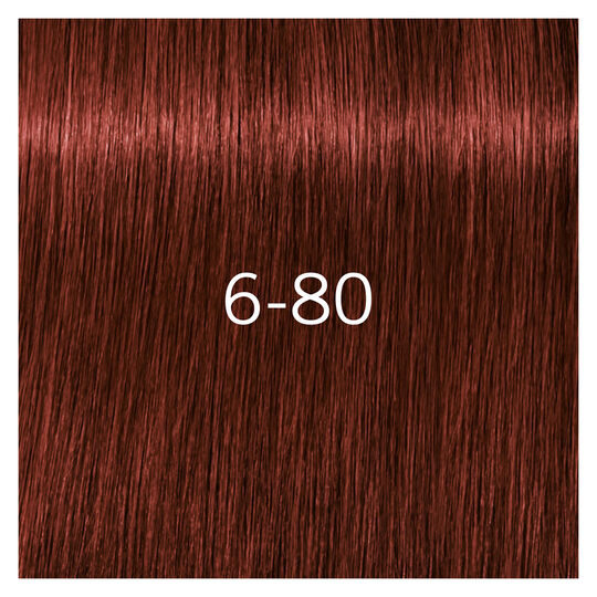 Igora Royal Absolutes 6-80