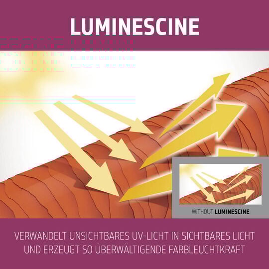 Color Extra Rich 60S Maske