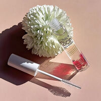 Rizinus-Wachstumsroutine