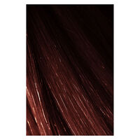 Hair Color Abendr&ouml;te Nr&deg;6.56