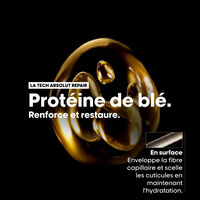 Leichte restrukturierende Maske Absolut Repair Gold