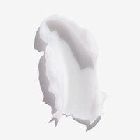 Anti-Frizz-Conditioner Frizz Dismiss