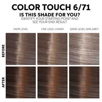 Color Touch Fresh-up-Kit 6/71 Dunkelblond Marron Asch