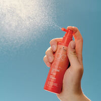 BC Sun Protect Schutzspray