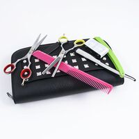 Scheren-Set Polished Ergo 5.5