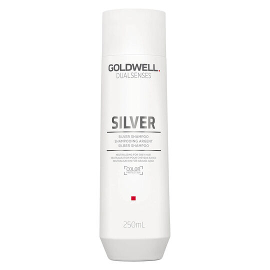 Silber Shampoo