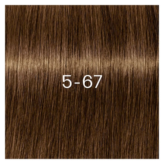 Igora Zero Amm Haarfarbe 5-67 Hellkastanienbraun Schokolade Kupfer