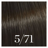 Semipermanente Coloration Color Touch 5/71 Hellkastanienbraun Marron Asch