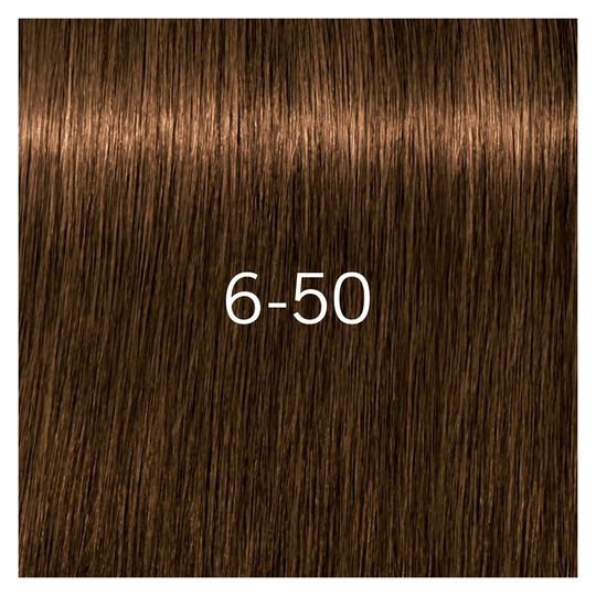 Igora Royal Absolutes 6-50