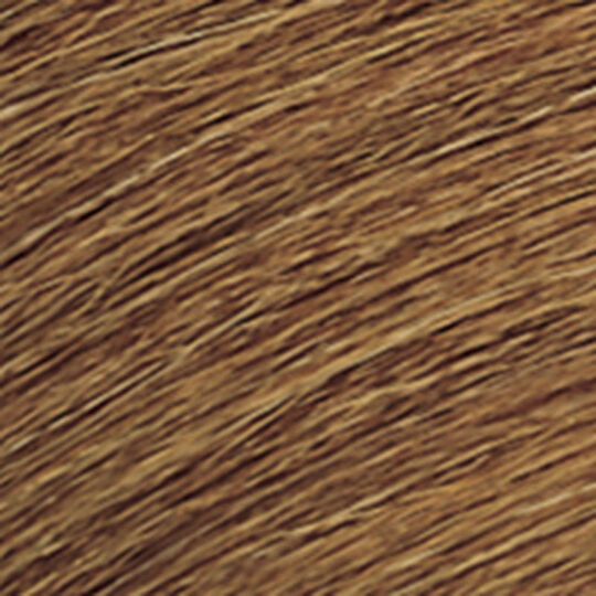 Ton-in-Ton-Haarfarbe Shades EQ Gloss 06WG Warmgold Mango
