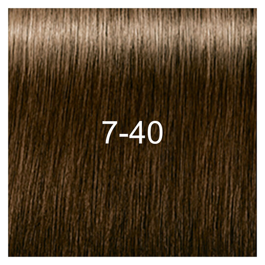 Igora Royal Absolutes 7-40