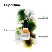 Konzentriertes &Ouml;l Metal Detox