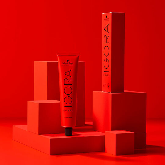 Igora Royal Highlifts 6-4 Dunkelblond Beige