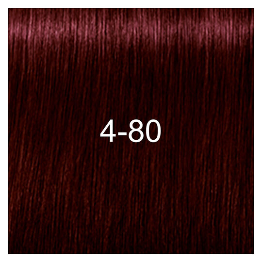Igora Royal Absolutes 4-80